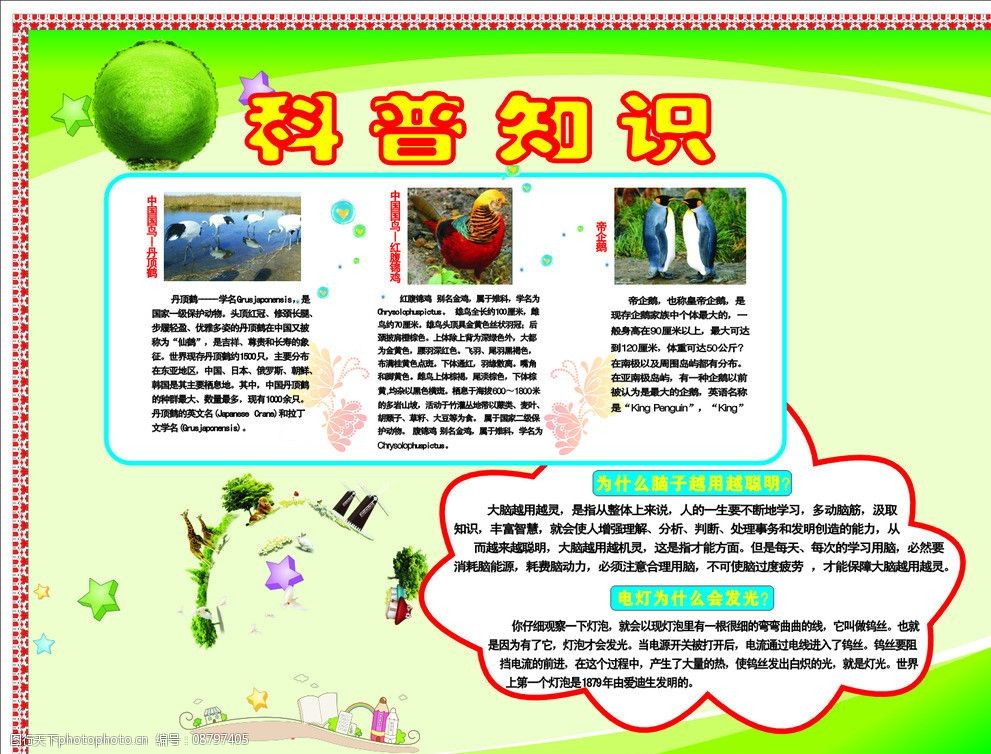 网络安全知识科普
